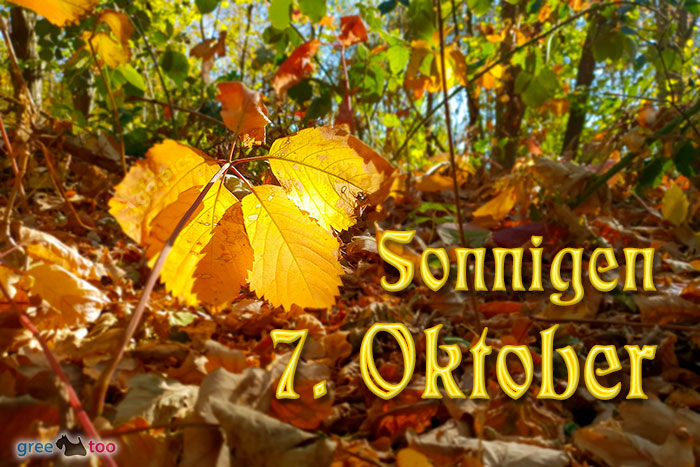 Sonnigen 7 Oktober