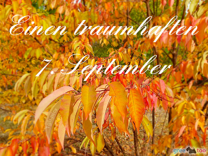 Einen Traumhaften 7 September