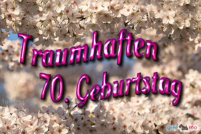 70. Geburtstag von 1gbpics.com