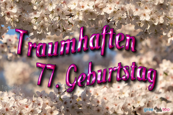 77. Geburtstag von 1gbpics.com