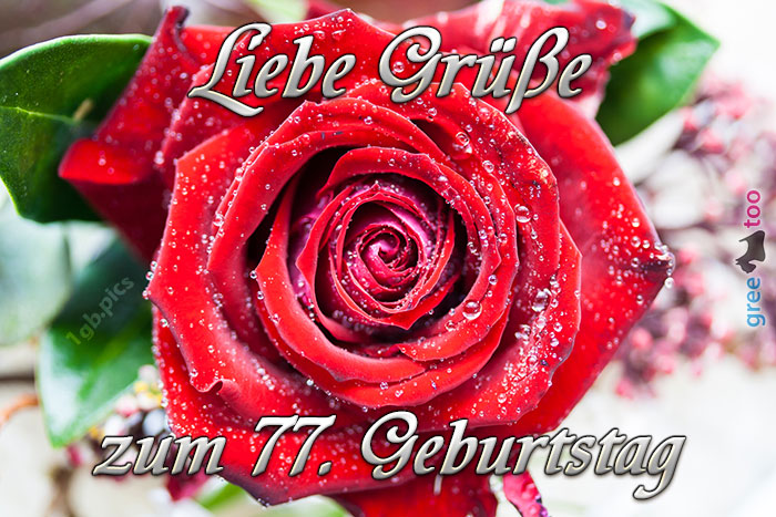 Zum 77 Geburtstag