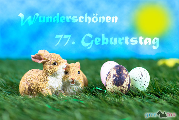 Wunderschoenen 77 Geburtstag Bild - 1gb.pics