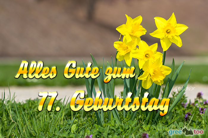 77 Geburtstag : Geburtstag und alle seine funkfreunde stimmen ein