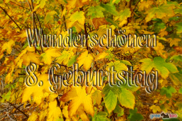 Wunderschoenen 8 Geburtstag