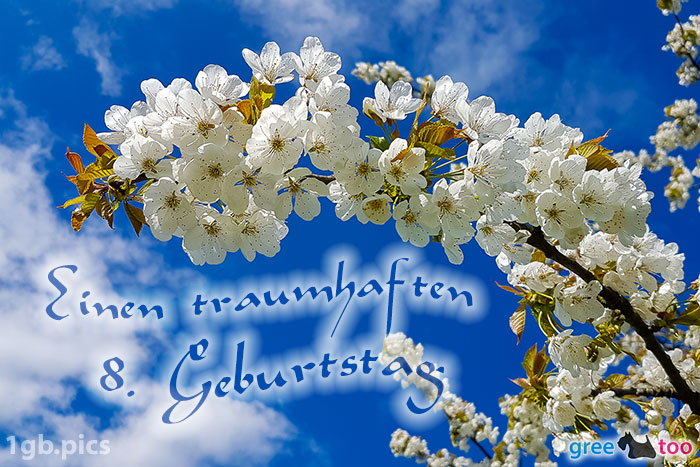 8. Geburtstag von 1gbpics.com