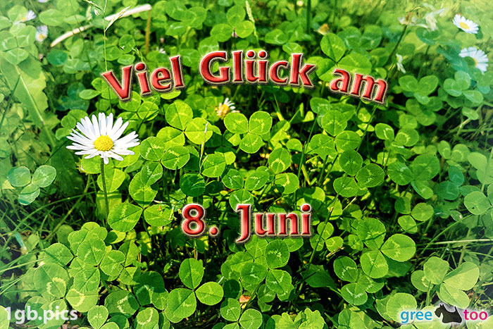 8. Juni von 1gbpics.com