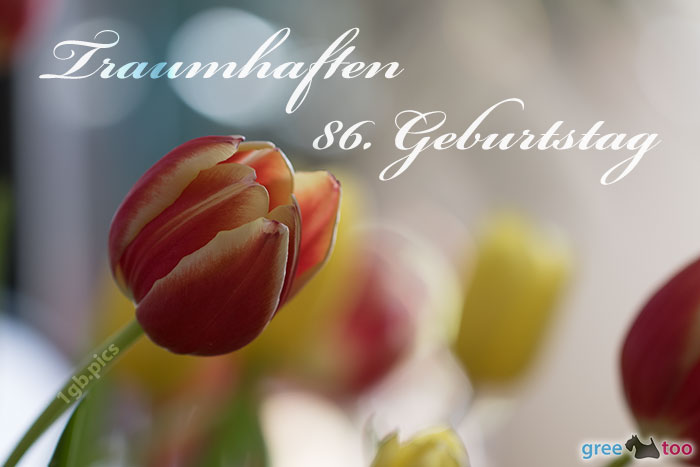 Traumhaften 86 Geburtstag Bild - 1gb.pics