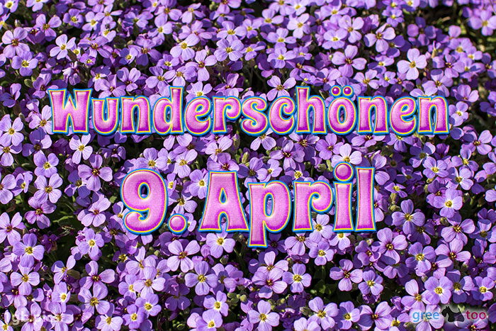 Wunderschoenen 9 April