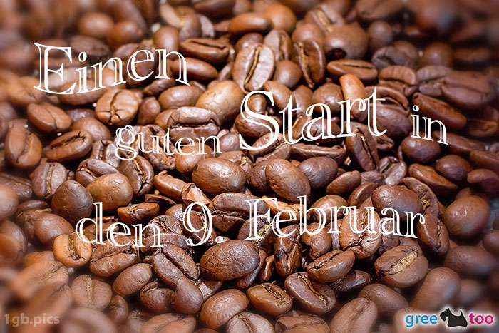 9 Februar Bild - 1gb.pics