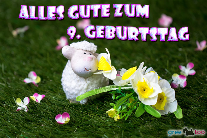 9. Geburtstag Bilder, Gästebuchbilder, GB Pics  1gb.pics
