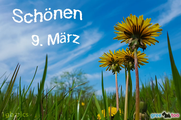 Loewenzahn Himmel Schoenen 9 Maerz Bild - 1gb.pics