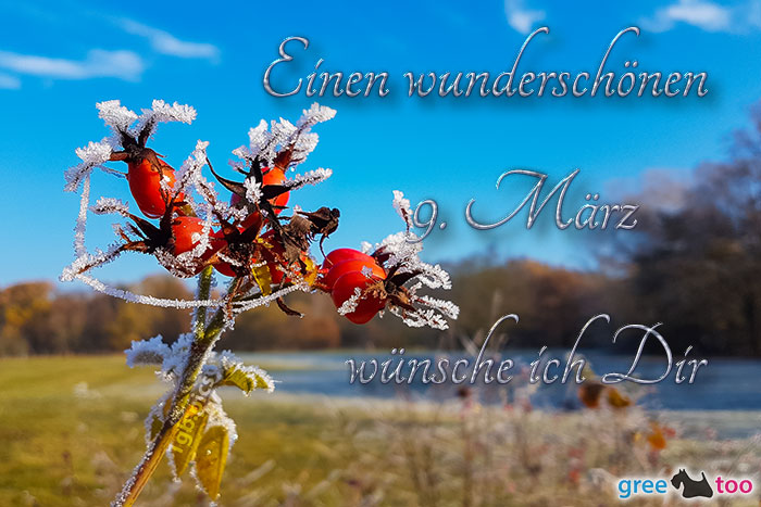 Einen Wunderschoenen 9 Maerz Bild - 1gb.pics