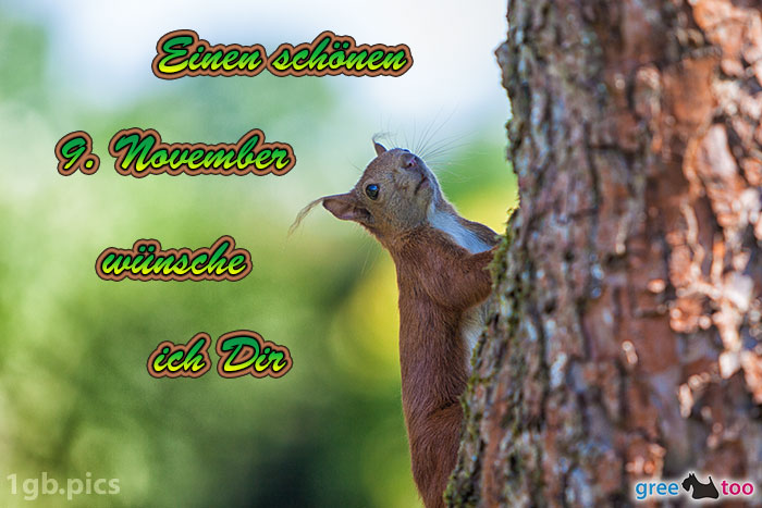 Eichhoernchen Einen Schoenen 9 November