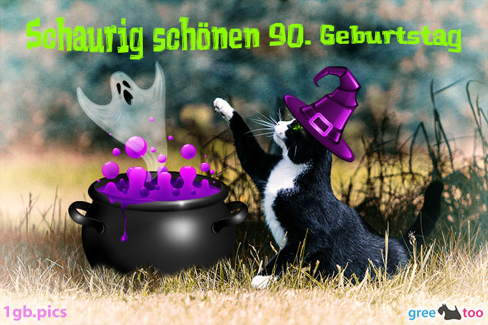 Katze Schaurig Schoenen 90 Geburtstag Bild - 1gb.pics