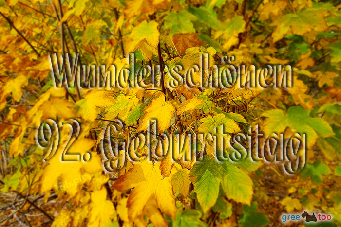 Wunderschoenen 92 Geburtstag Bild - 1gb.pics