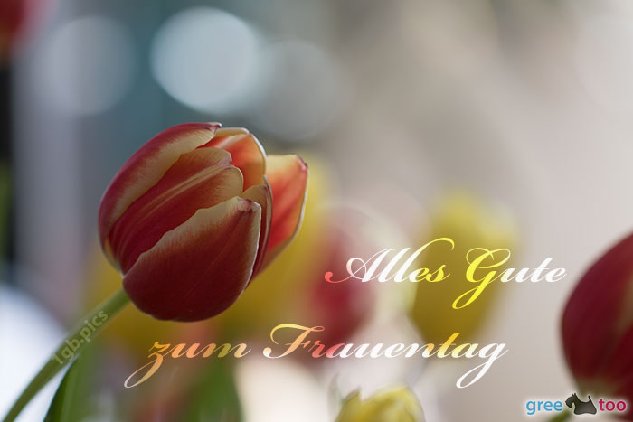 Alles Gute zum Frauentag von 1gbpics.com