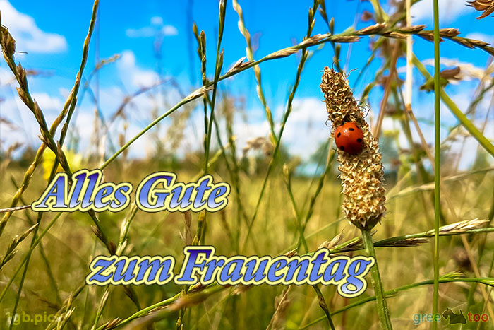 Alles Gute zum Frauentag von 1gbpics.com