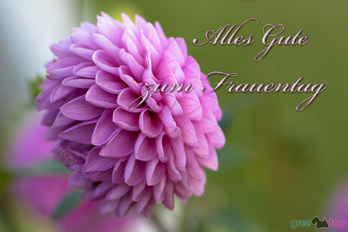 Alles Gute zum Frauentag von 1gbpics.com