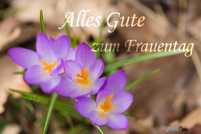 Alles Gute Frauentag