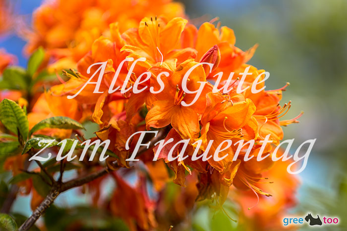 Alles Gute zum Frauentag von 1gbpics.com