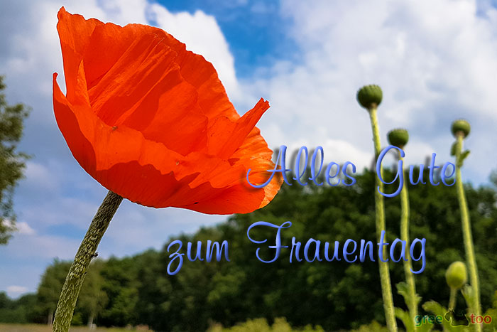 Alles Gute zum Frauentag von 1gbpics.com