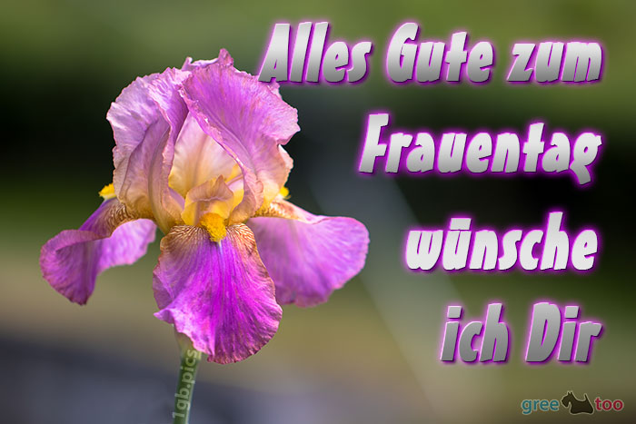 Alles Gute Frauentag