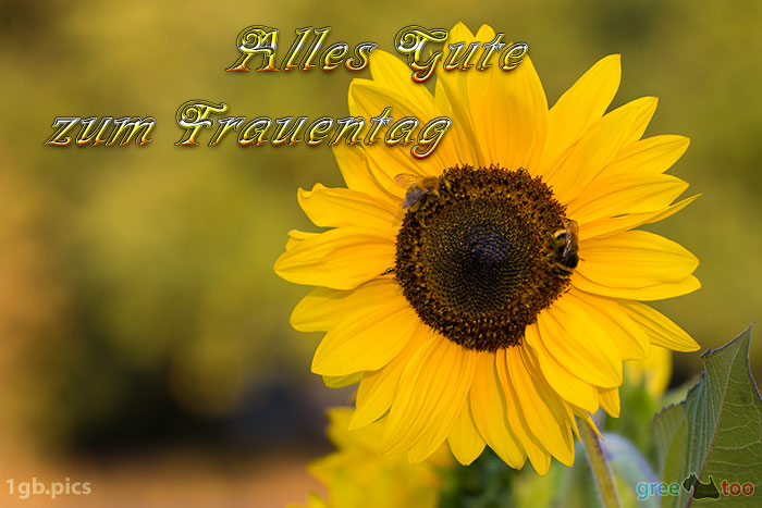 Alles Gute zum Frauentag von 1gbpics.com