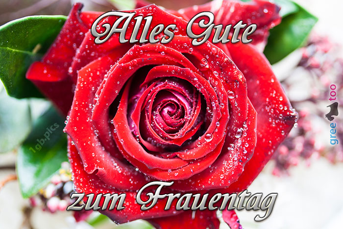 Alles Gute zum Frauentag von 1gbpics.com