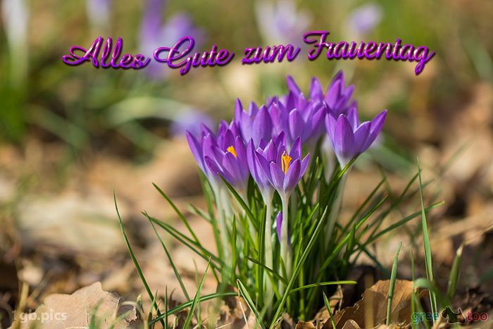 Alles Gute Frauentag