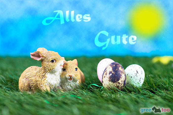 Alles Gute