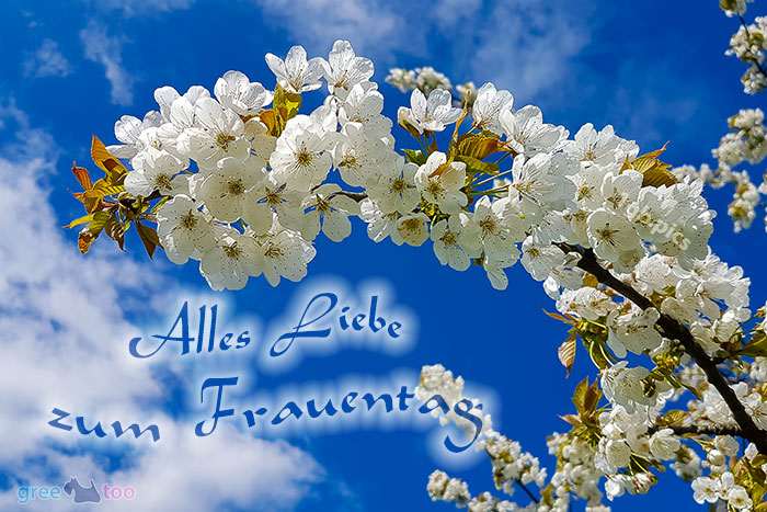 Alles Liebe zum Frauentag von 1gbpics.com