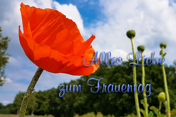 Alles Liebe Zum Frauentag