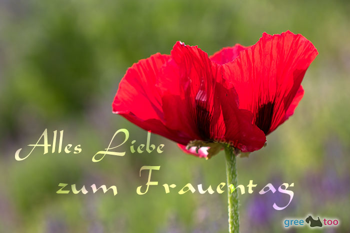 Alles Liebe zum Frauentag von 1gbpics.com