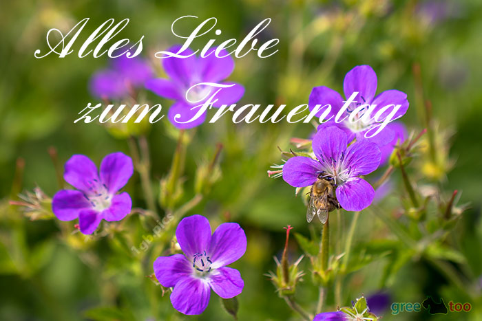 Alles Liebe Zum Frauentag