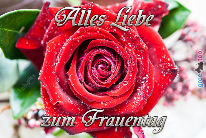 Alles Liebe Zum Frauentag