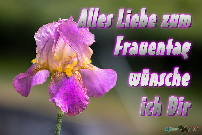 Alles Liebe zum Frauentag von 1gbpics.com