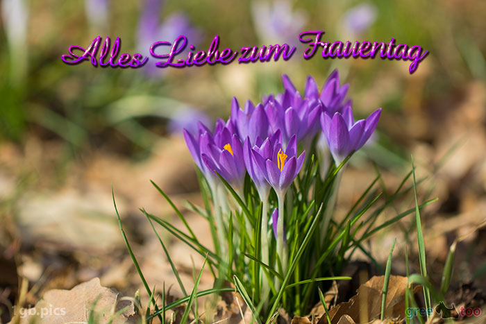 Alles Liebe zum Frauentag von 1gbpics.com