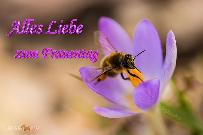 Alles Liebe Zum Frauentag