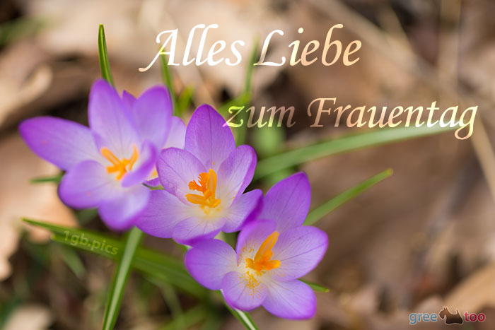 Alles Liebe zum Frauentag von 1gbpics.com