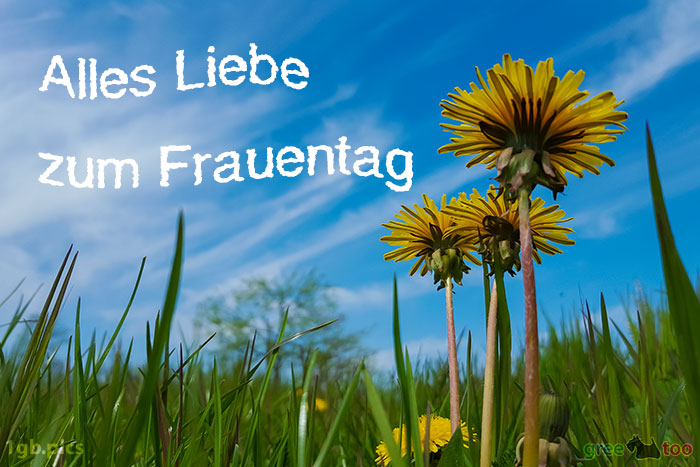 Alles Liebe Zum Frauentag