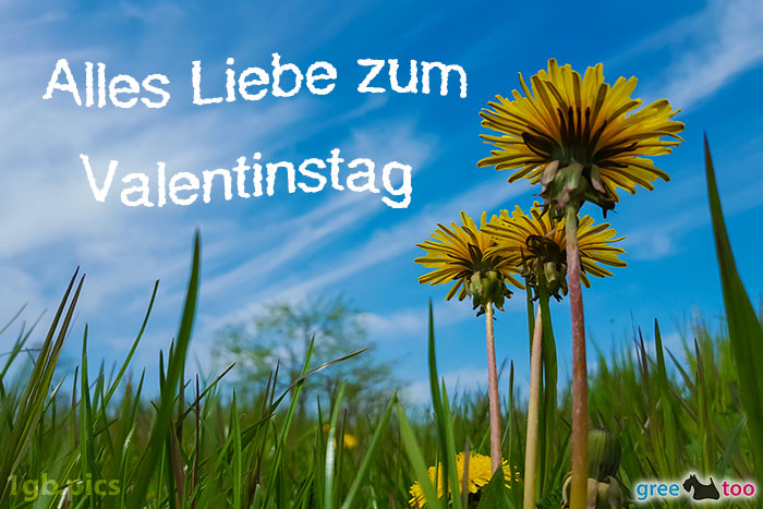 Alles Liebe zum Valentinstag von 1gbpics.com