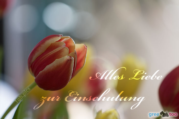 Alles Liebe zur Einschulung von 1gbpics.com