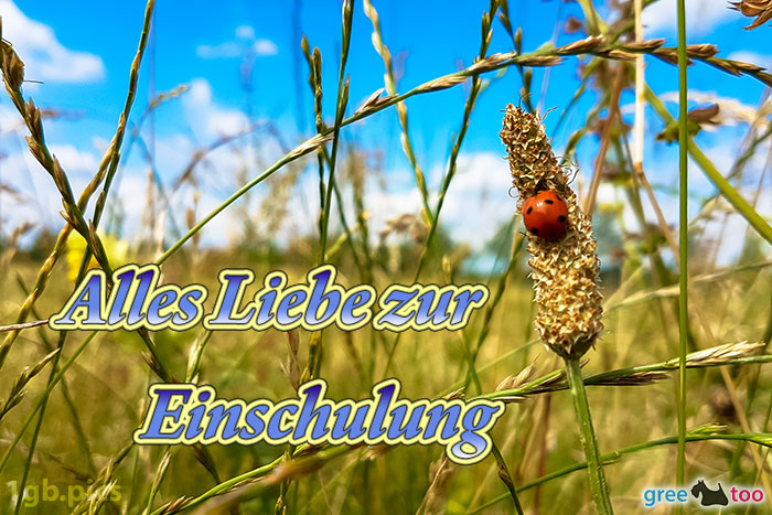 Alles Liebe zur Einschulung von 1gbpics.com