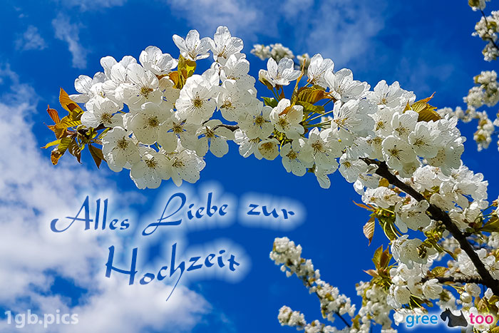 Kirschblueten Alles Liebe Zur Hochzeit