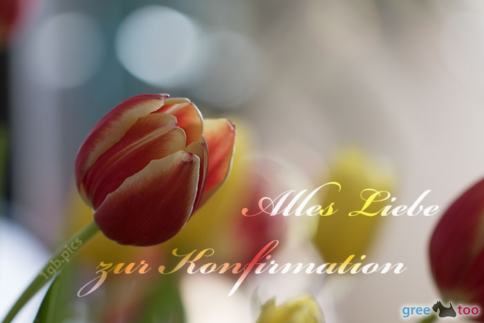 Alles Liebe Zur Konfirmation