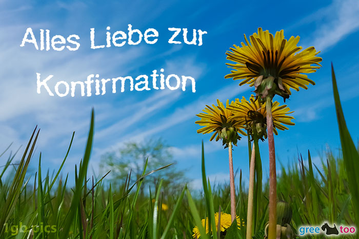 Loewenzahn Himmel Alles Liebe Zur Konfirmation