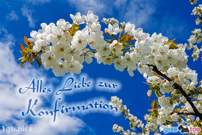 Kirschblueten Alles Liebe Zur Konfirmation