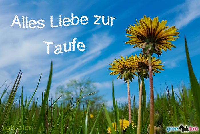 Loewenzahn Himmel Alles Liebe Zur Taufe