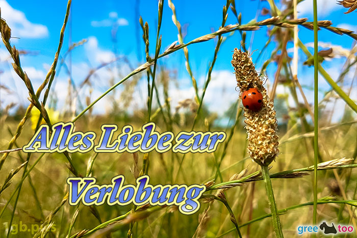 Marienkaefer Alles Liebe Zur Verlobung