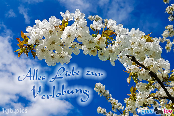 Kirschblueten Alles Liebe Zur Verlobung